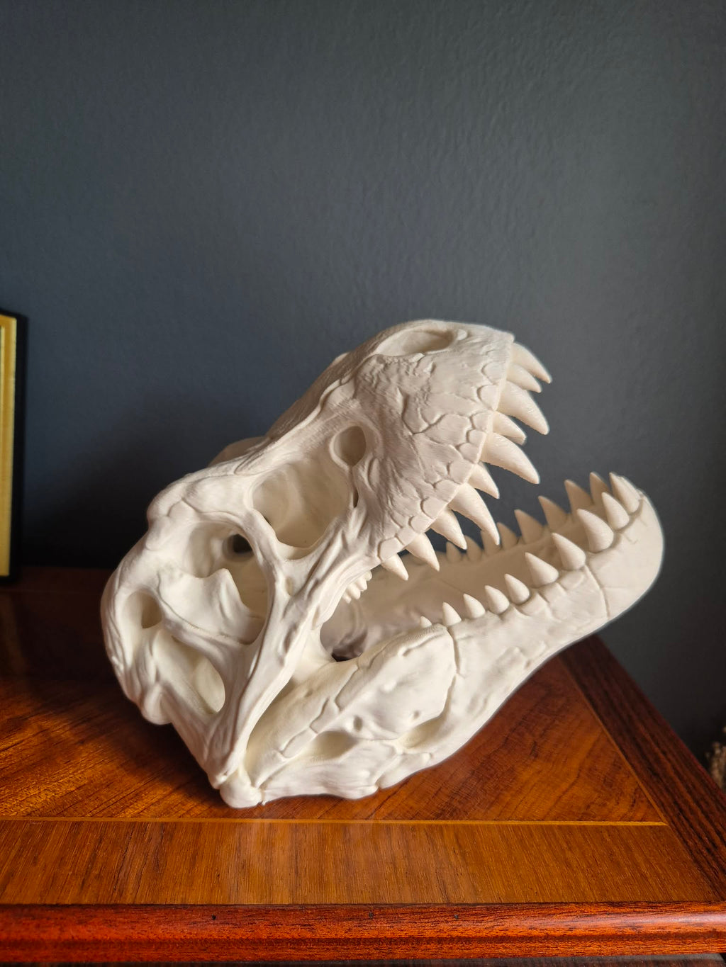 T-Rex hoved - Lille