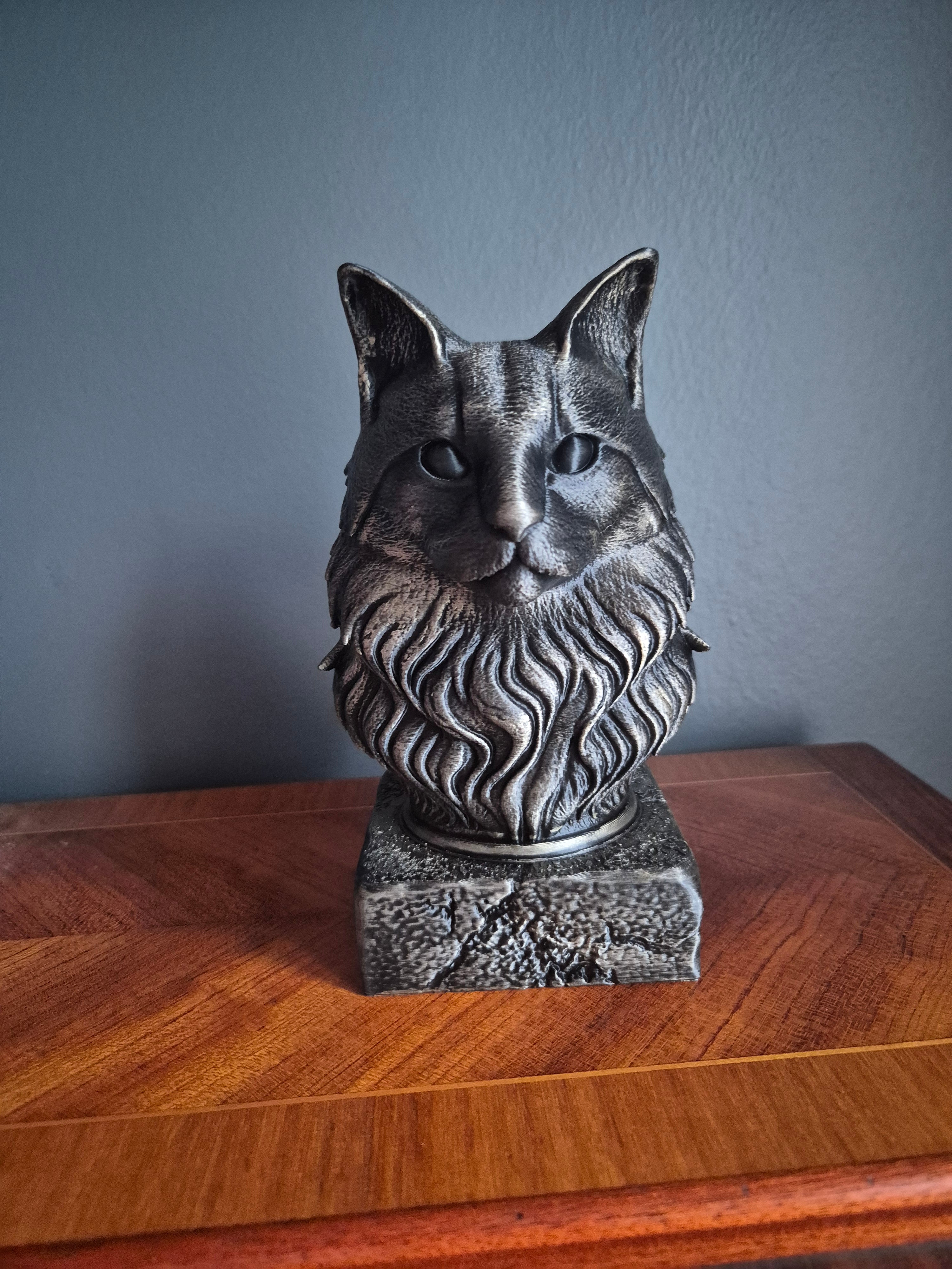 Maine Coon-kat byste