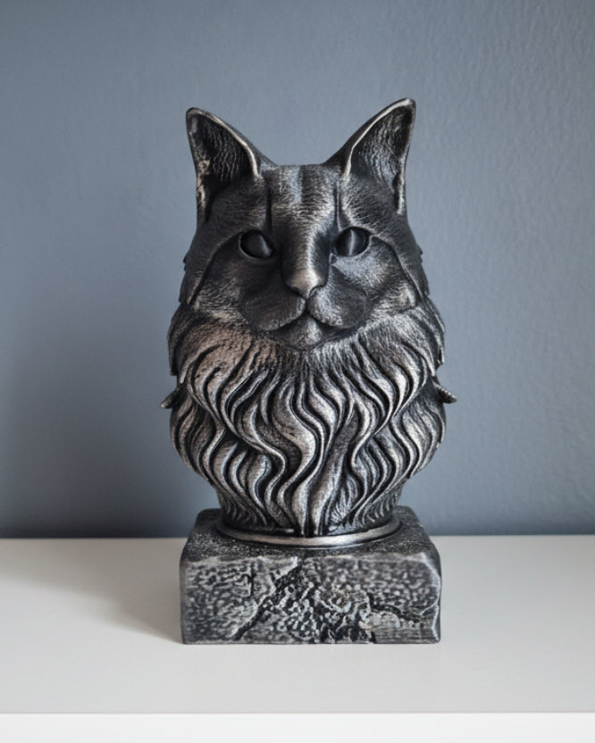 Maine Coon katte byste