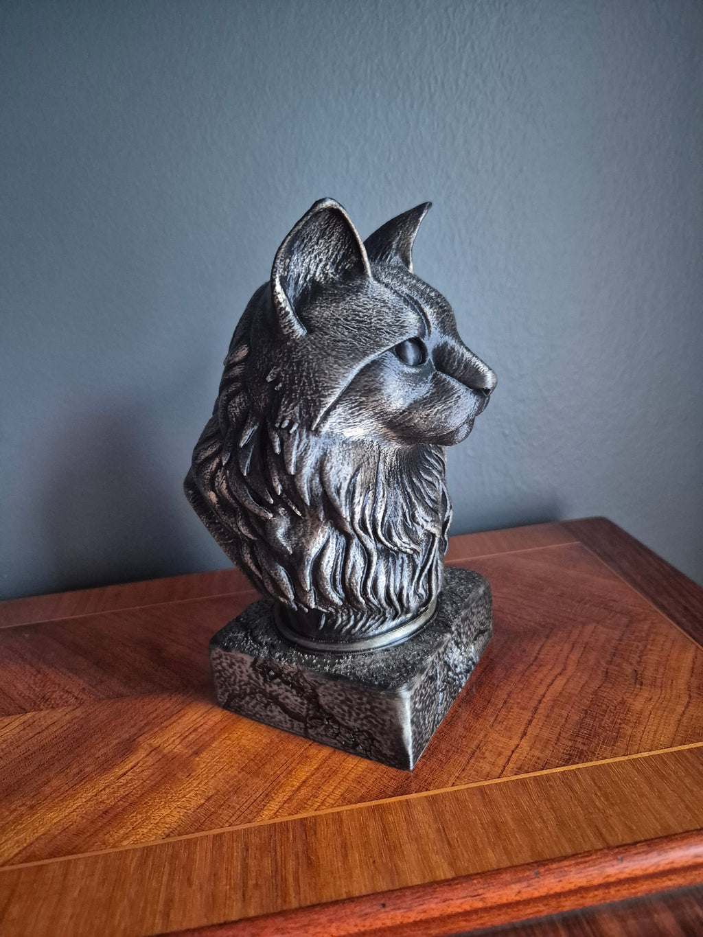 Maine Coon-kat byste