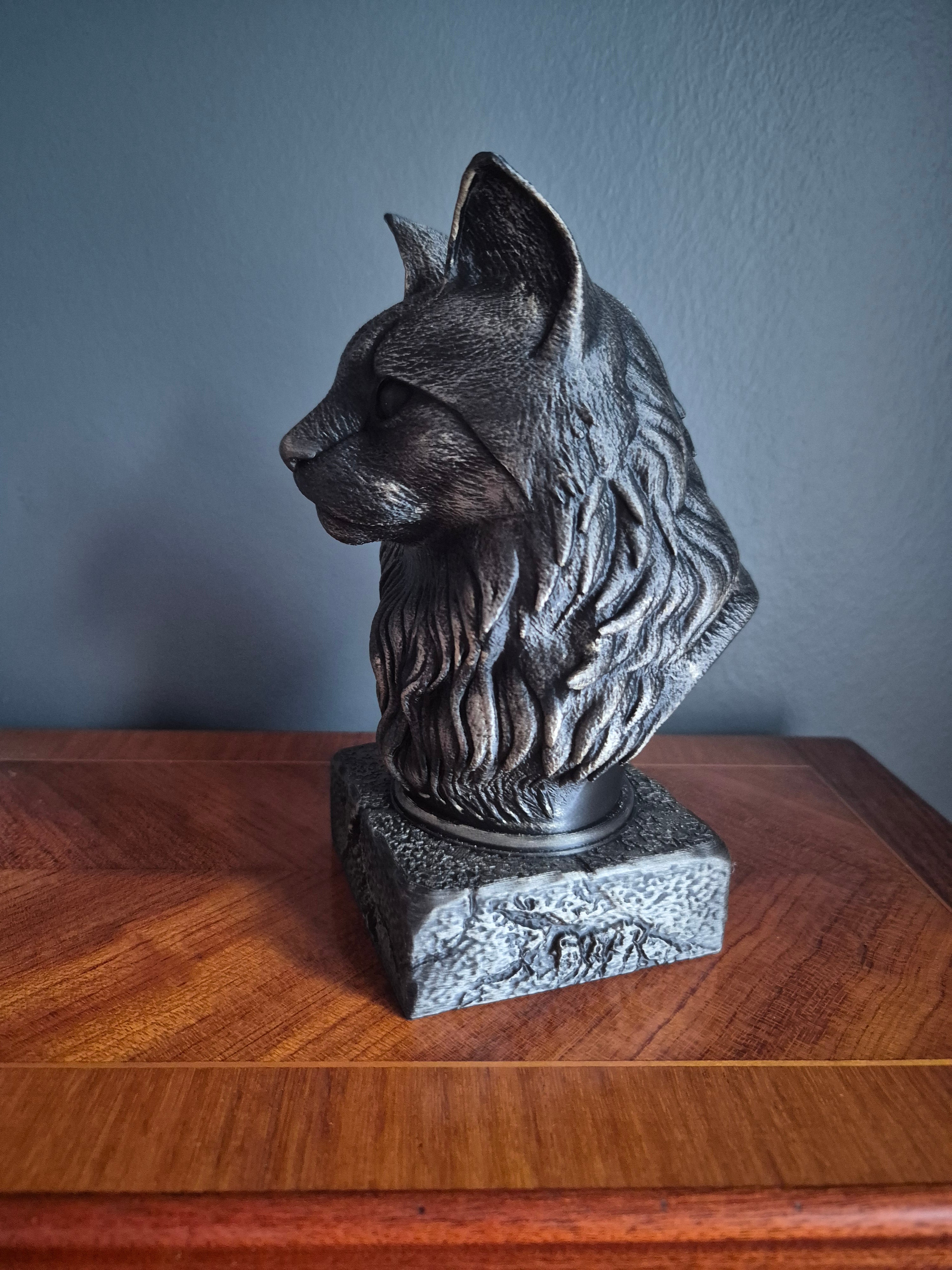 Maine Coon-kat byste