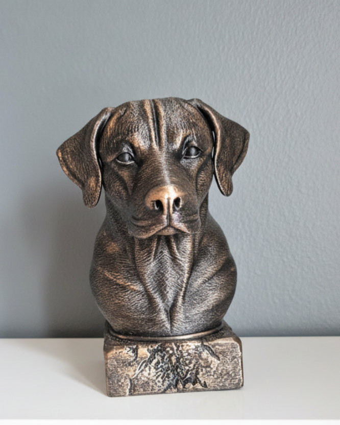 Rhodesian Ridgeback Byste