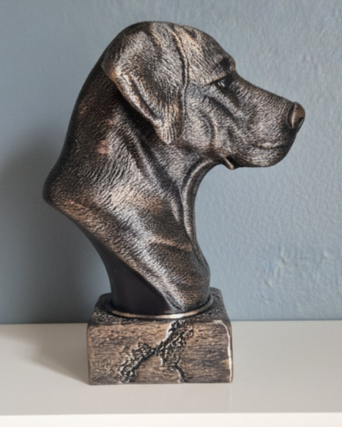 Rhodesian Ridgeback Byste