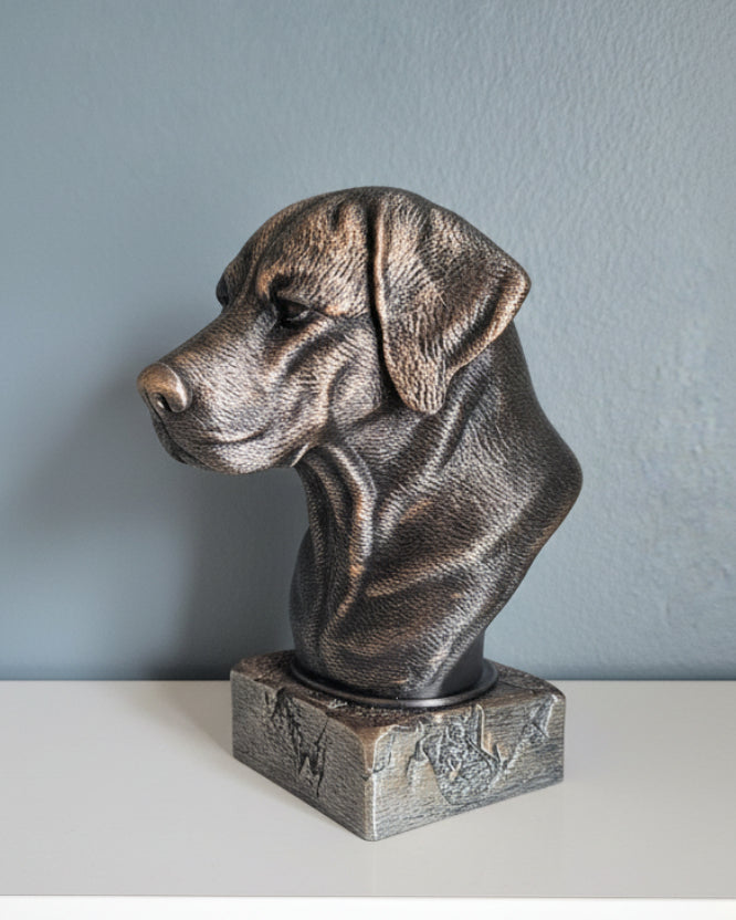 Rhodesian Ridgeback Byste