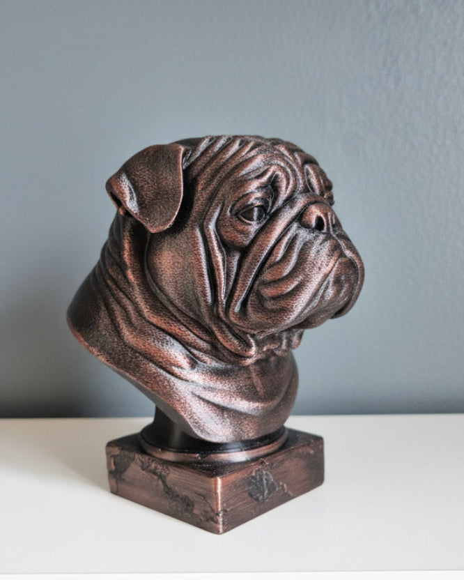 Engelsk Bulldog byste