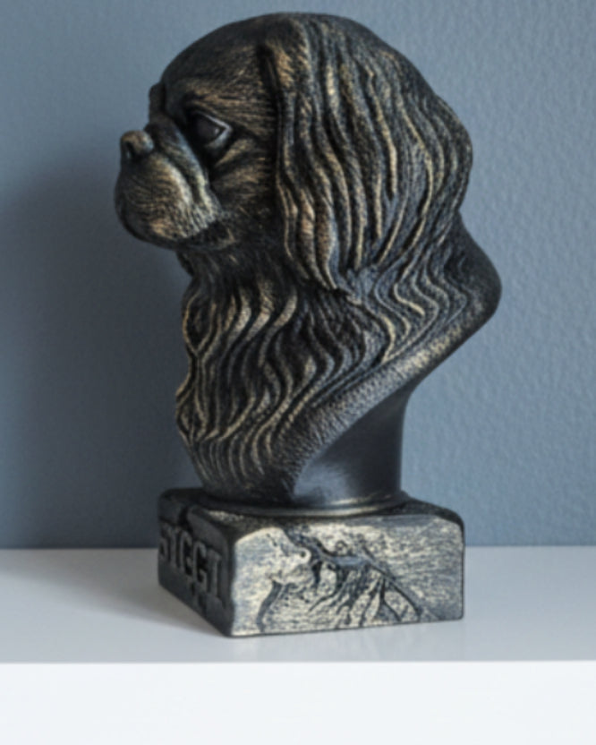 Pekingeser byste