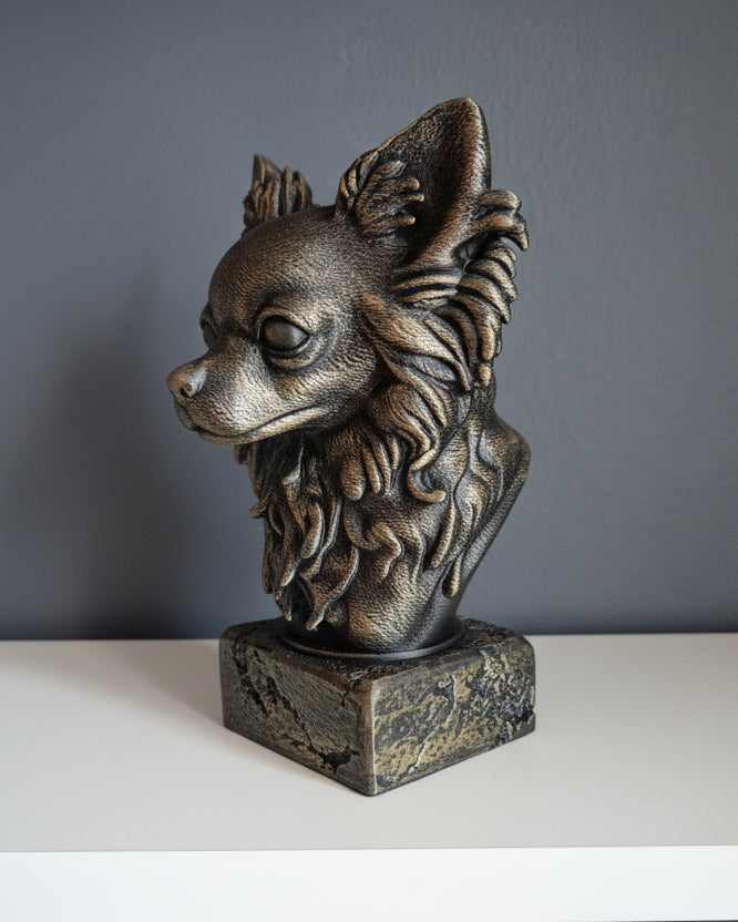 Langhåret Chihuahua byste