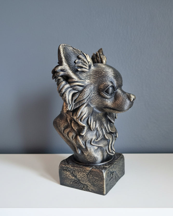 Langhåret Chihuahua byste