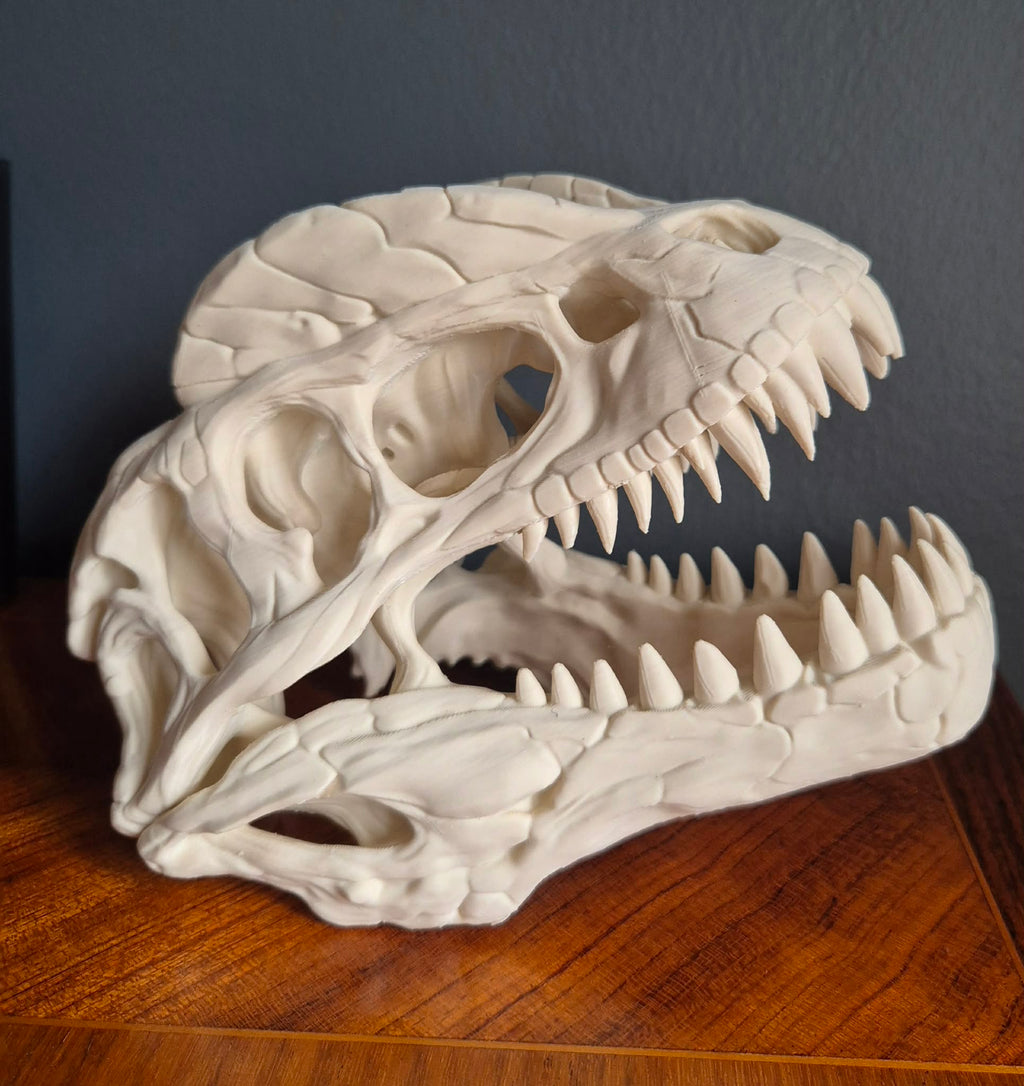 Dilophosaurus hoved - Lille
