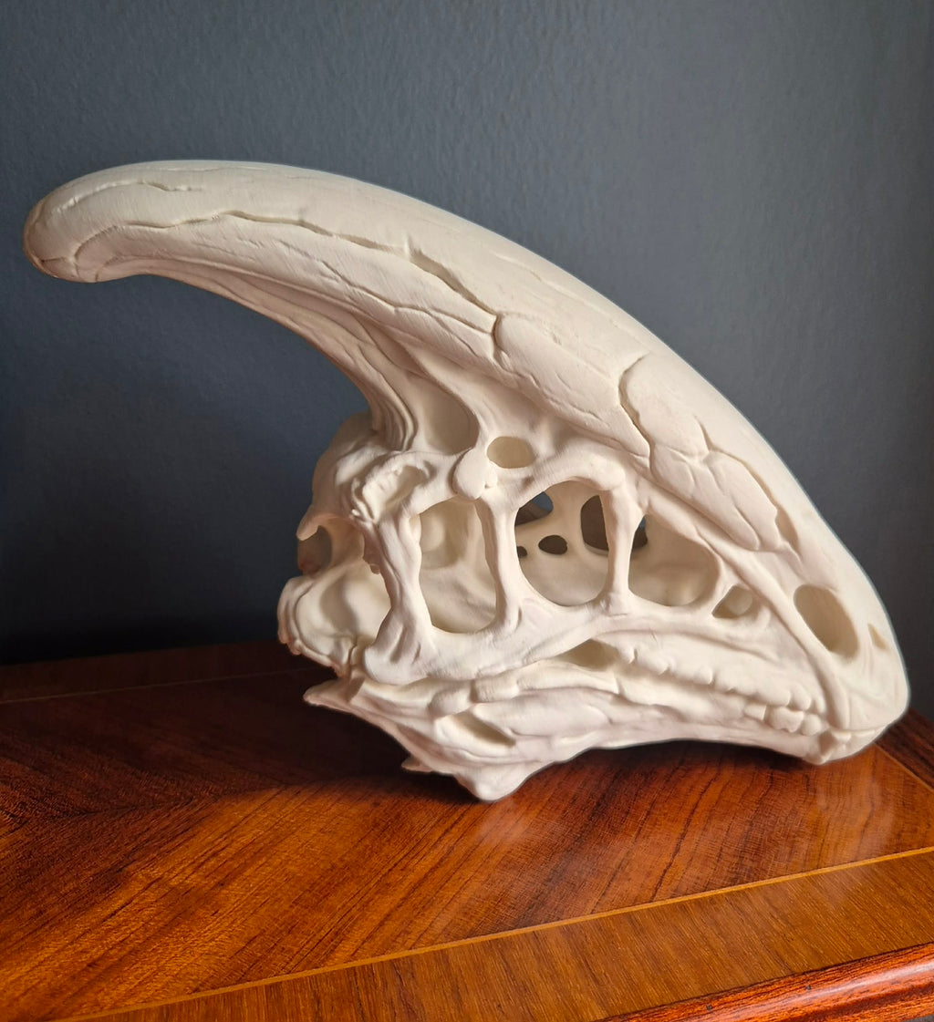 Parasaurolophus hoved - Lille